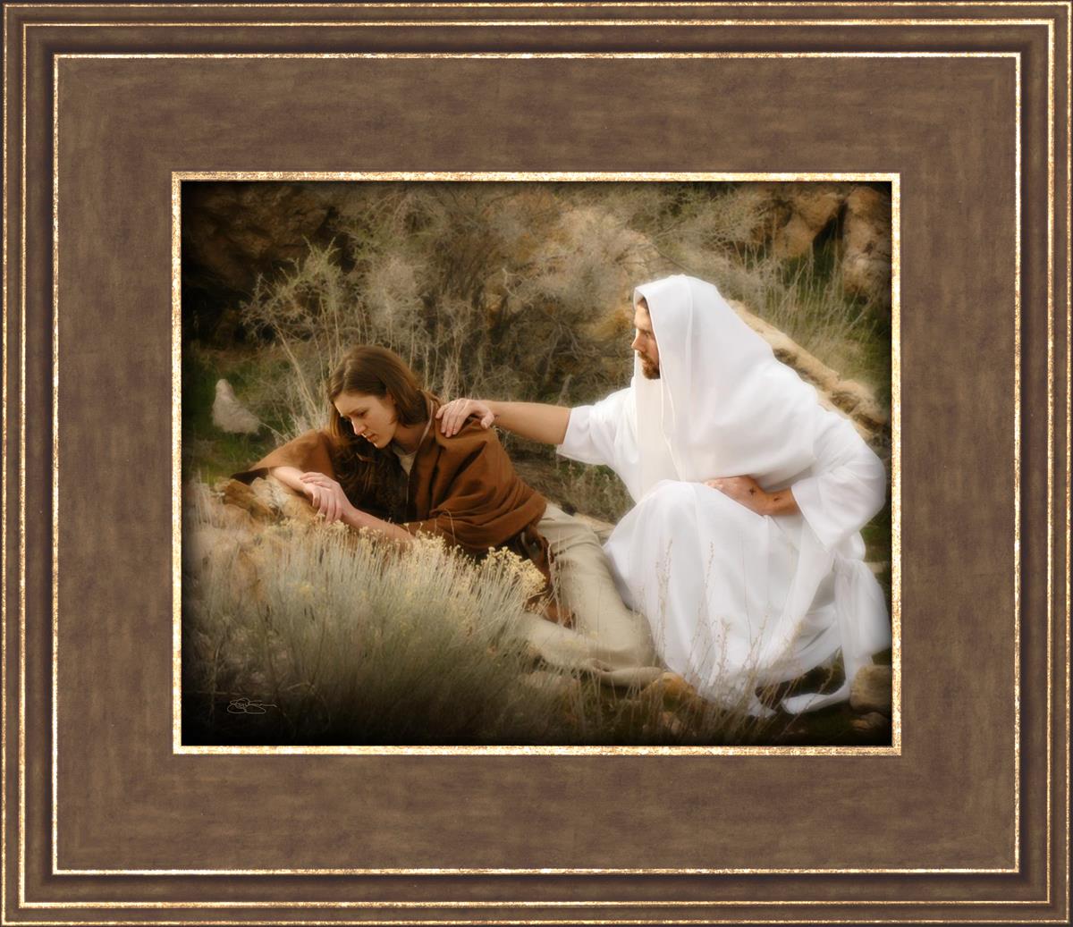 The Comforter