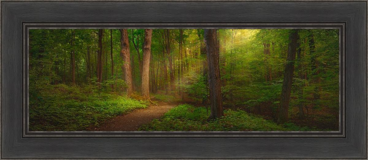 Sacred Grove