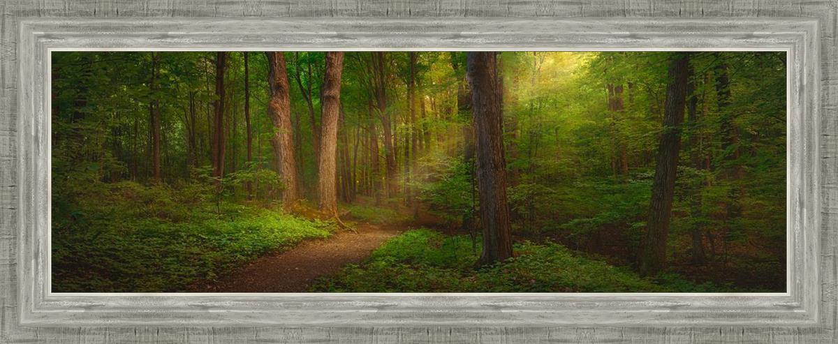 Sacred Grove