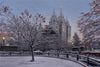 Salt Lake Temple Winter Solitude
