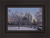 Salt Lake Temple Winter Solitude