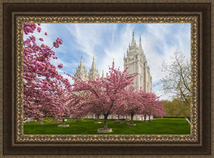 Salt Lake Spring Blossoms