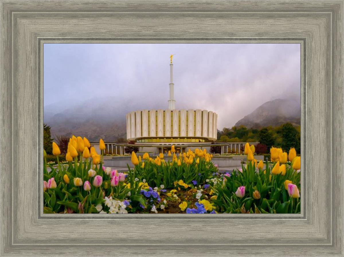 Provo Spring Tulips