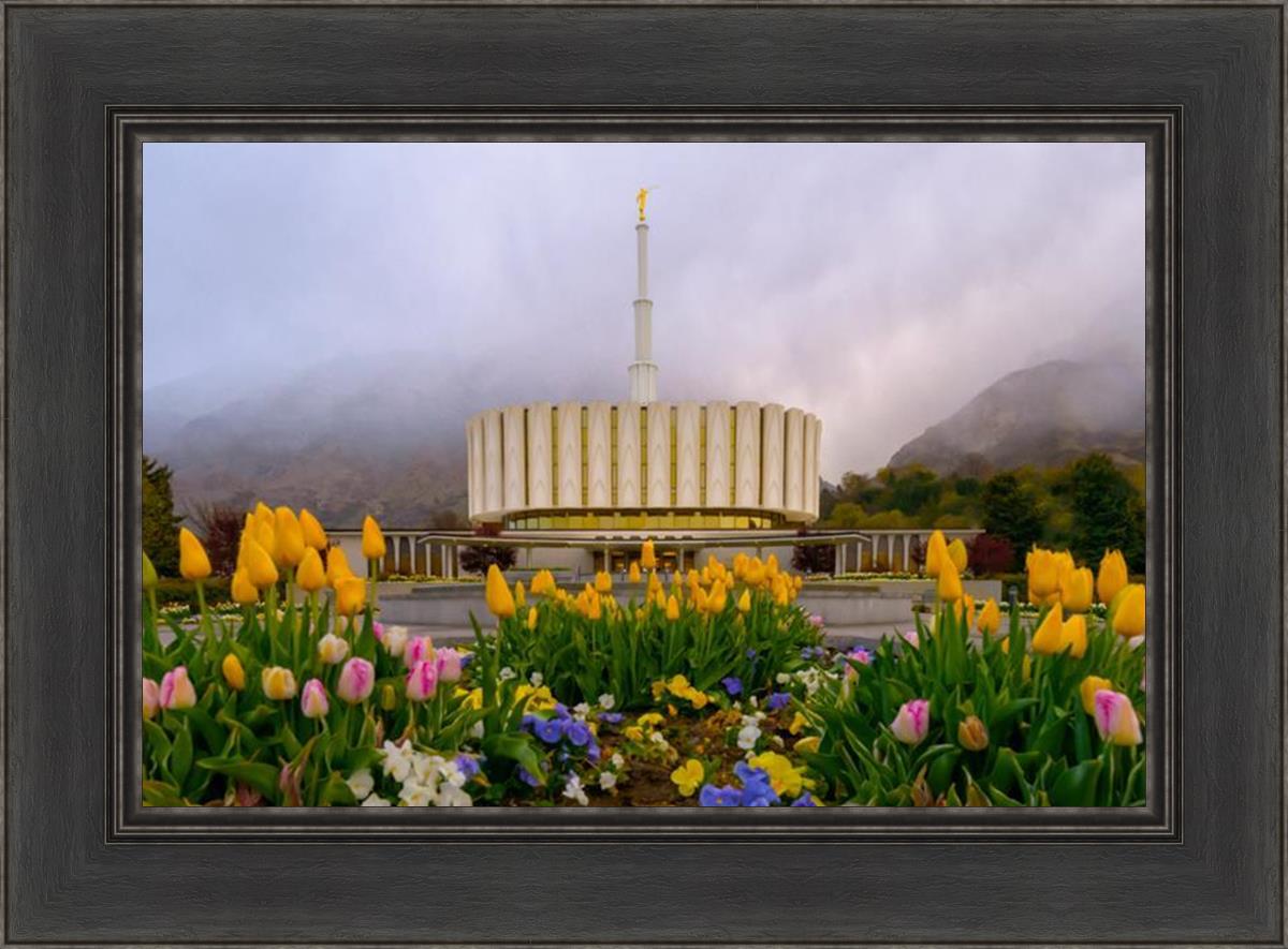Provo Spring Tulips