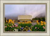 Provo Spring Tulips