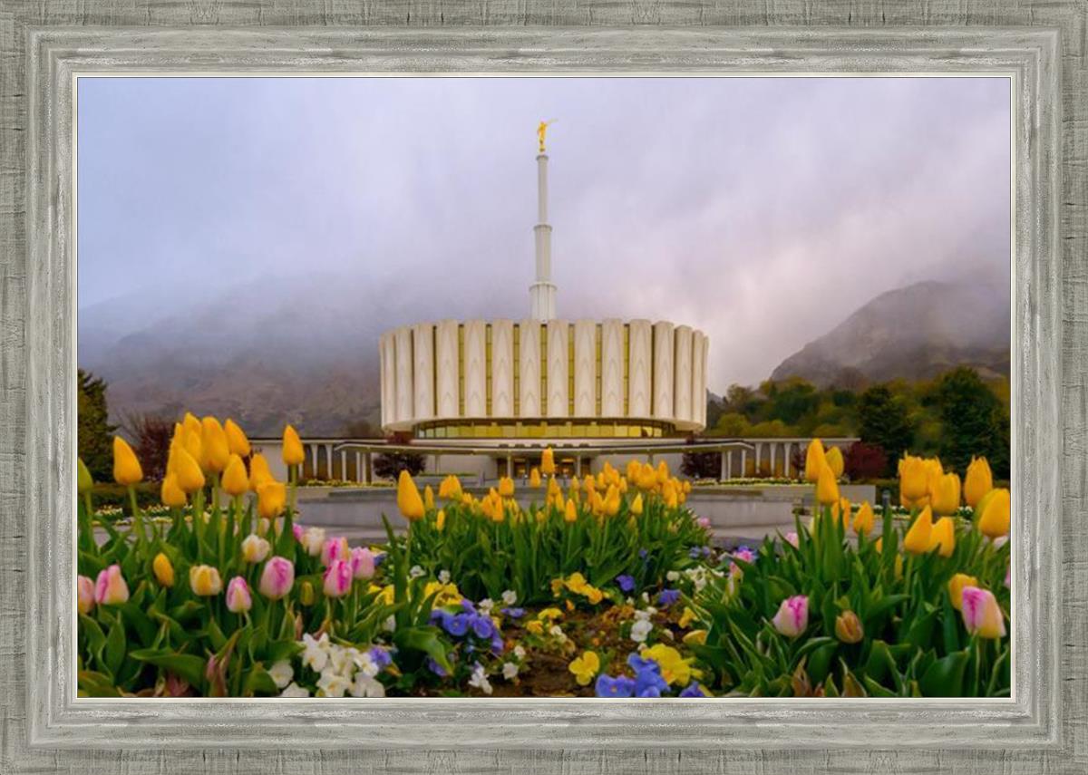 Provo Spring Tulips