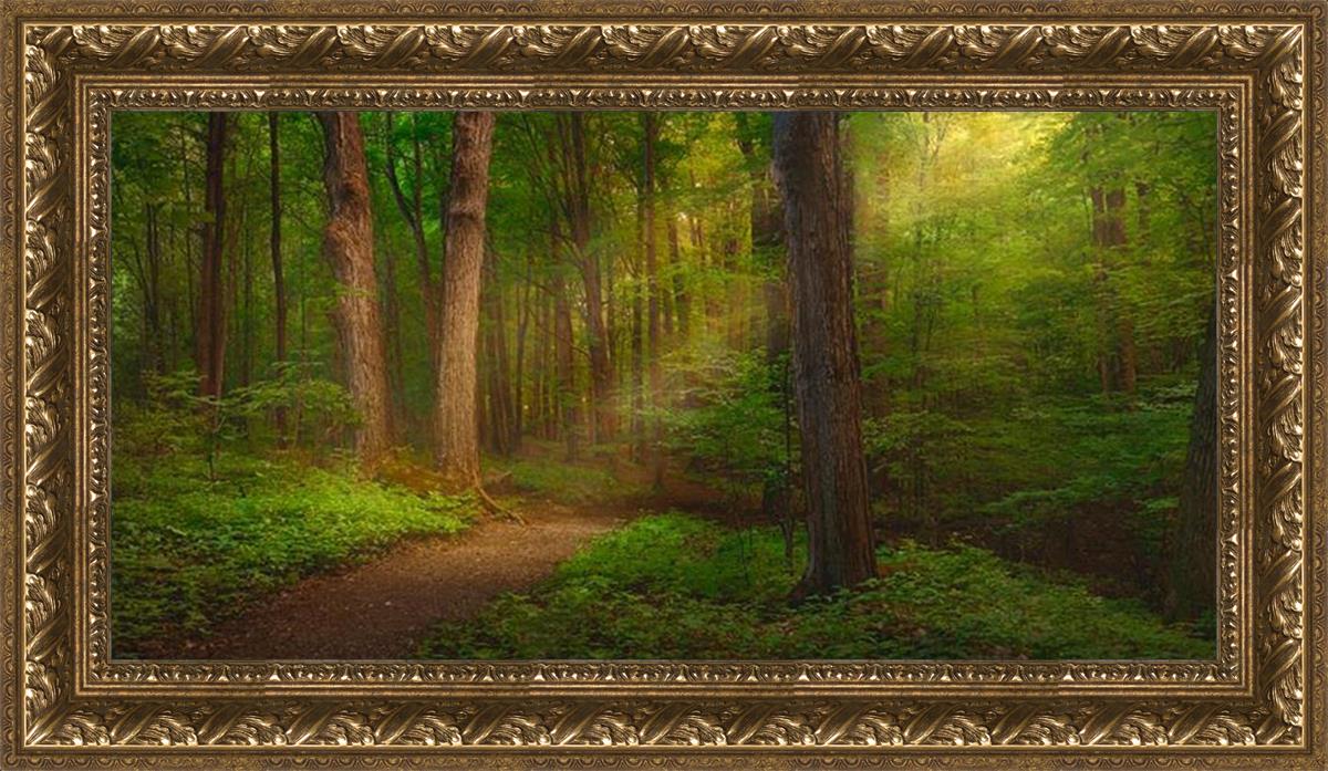 Sacred Grove