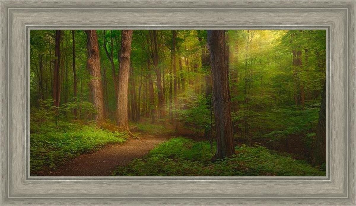 Sacred Grove