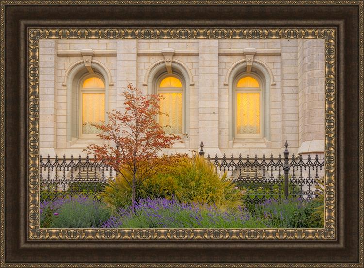 Salt Lake Autumn Detail