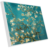 Blossoming Almond 24 x 18 Flushmount Acrylic