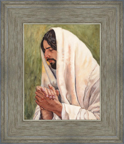 Our Mediator