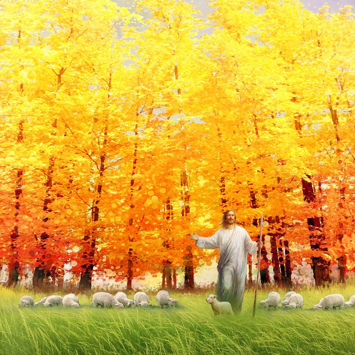 Autumn Breeze