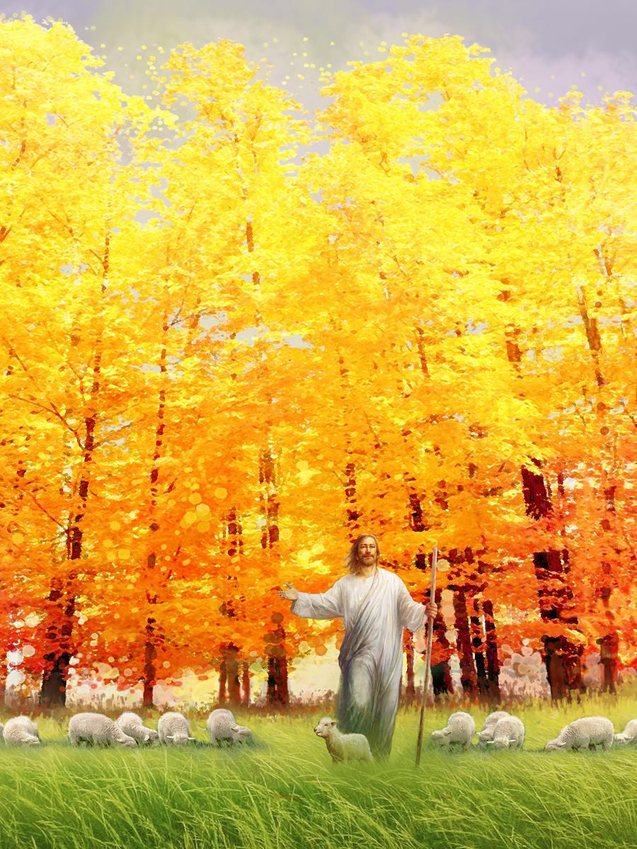 Autumn Breeze