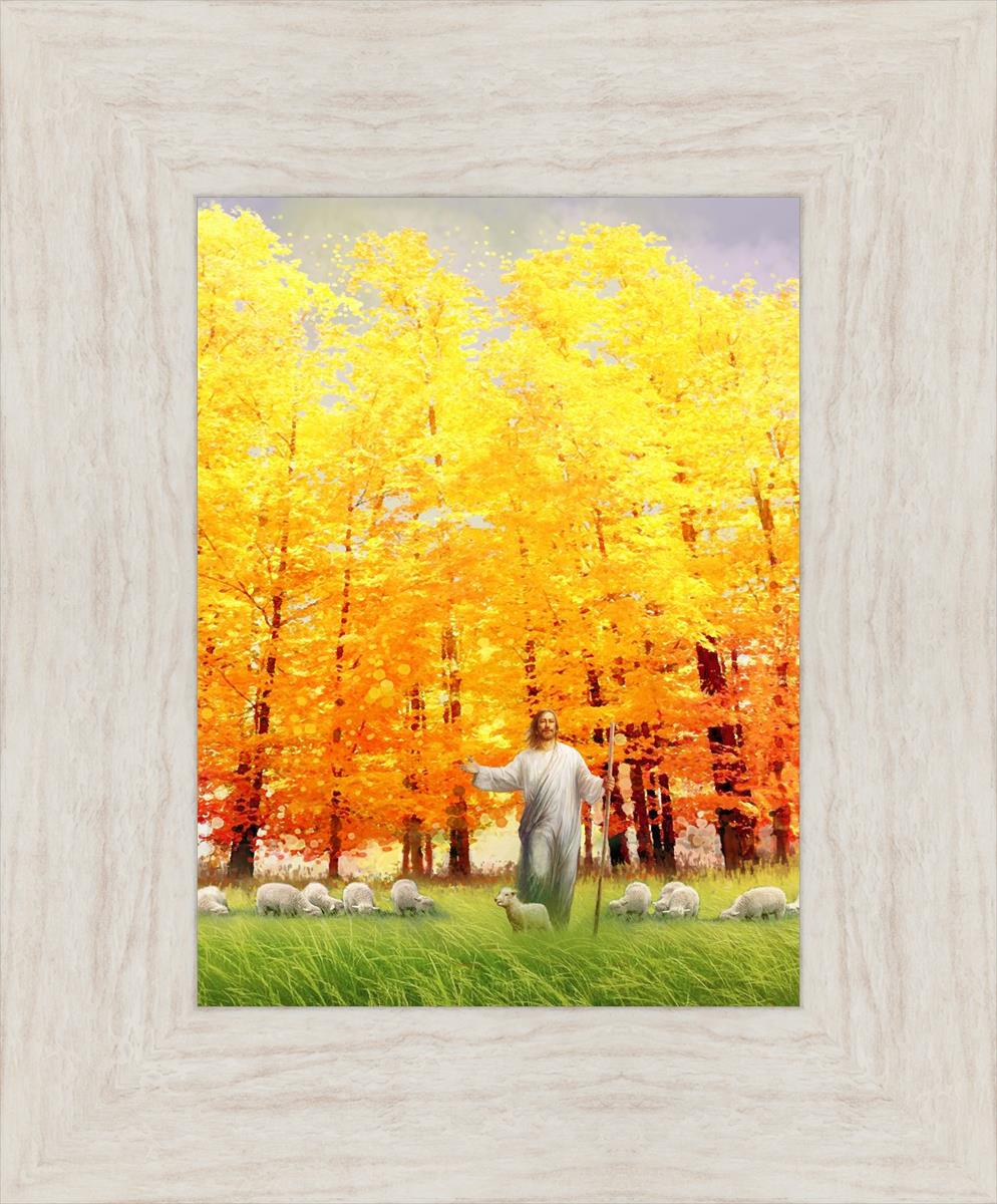 Autumn Breeze
