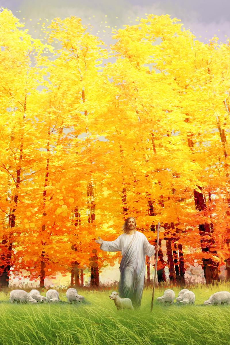 Autumn Breeze