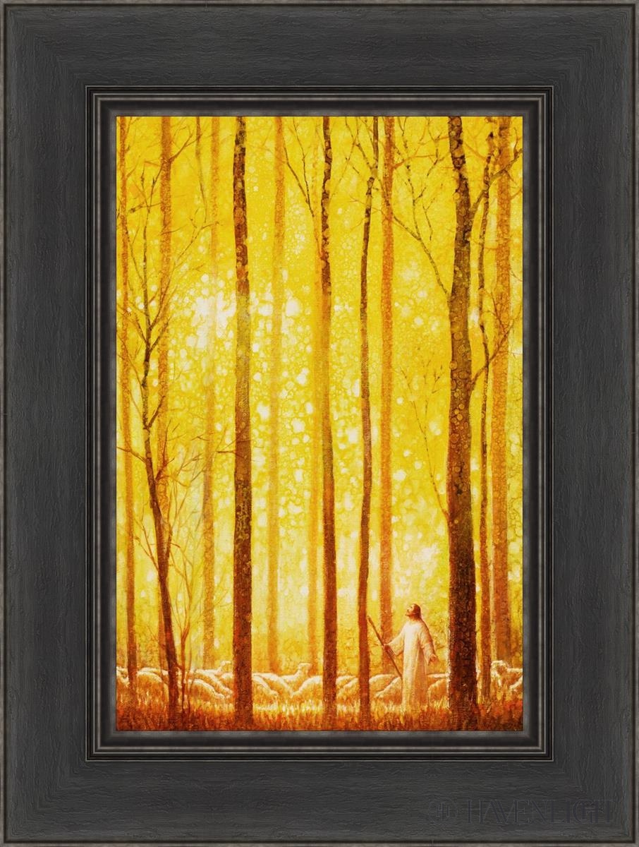 Awesome Wonder Open Edition Canvas / 12 X 18 Black 1/2 24 Art