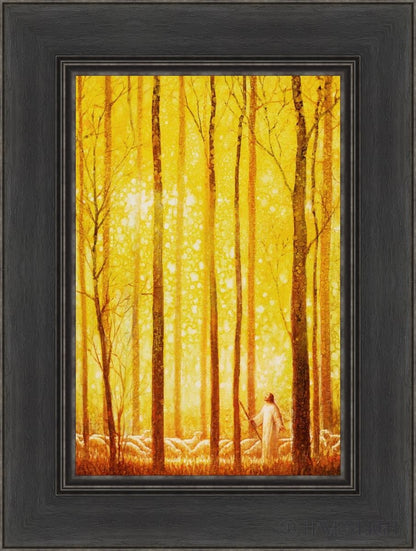 Awesome Wonder Open Edition Canvas / 12 X 18 Black 1/2 24 Art