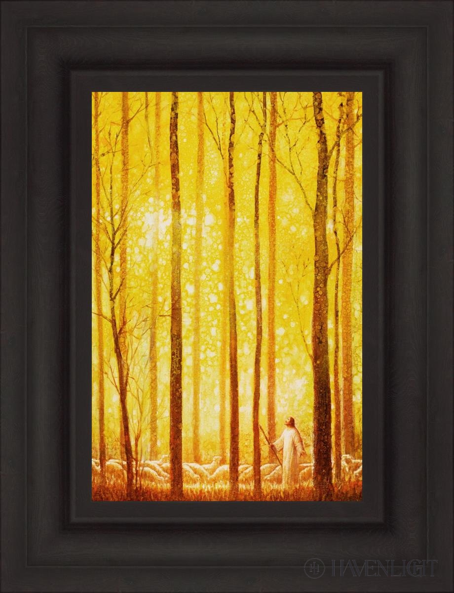 Awesome Wonder Open Edition Canvas / 12 X 18 Brown 19 3/4 25 Art
