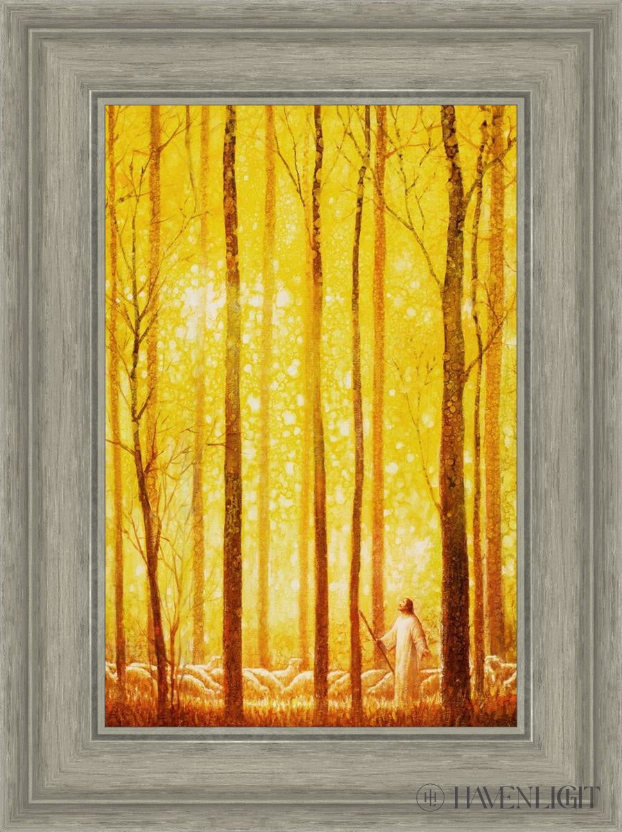 Awesome Wonder Open Edition Canvas / 12 X 18 Gray 17 3/4 23 Art