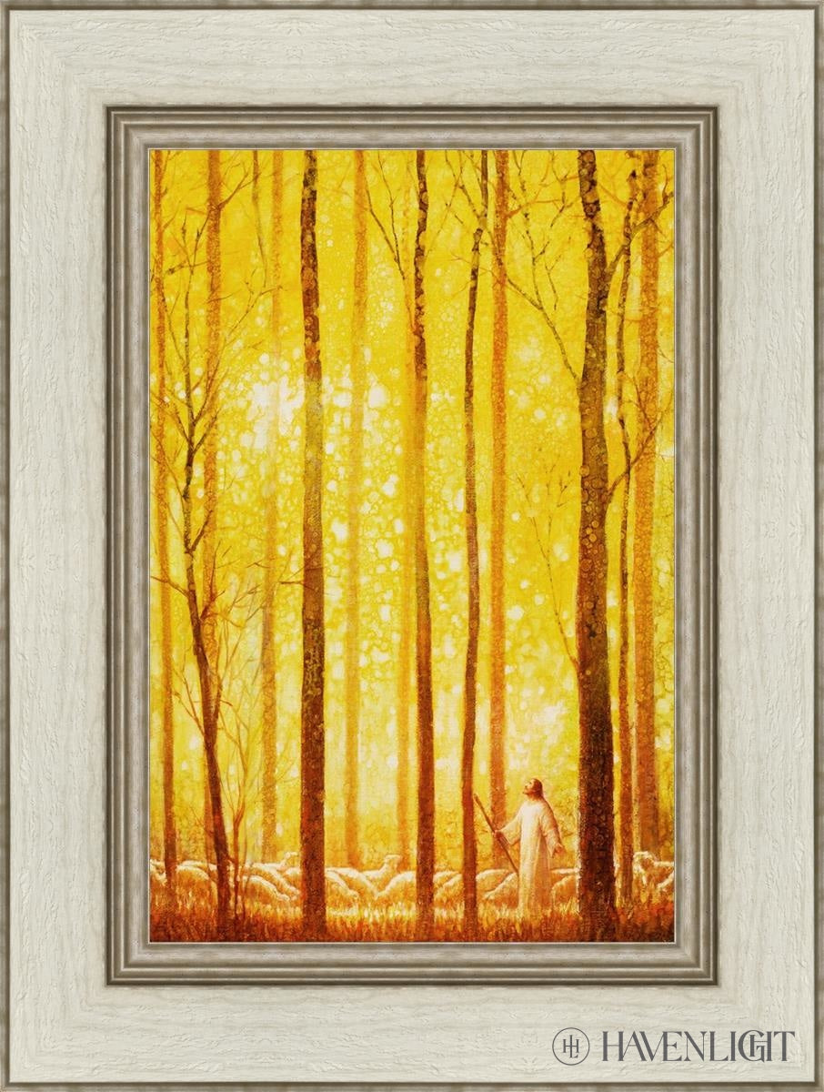Awesome Wonder Open Edition Canvas / 12 X 18 Ivory 1/2 24 Art