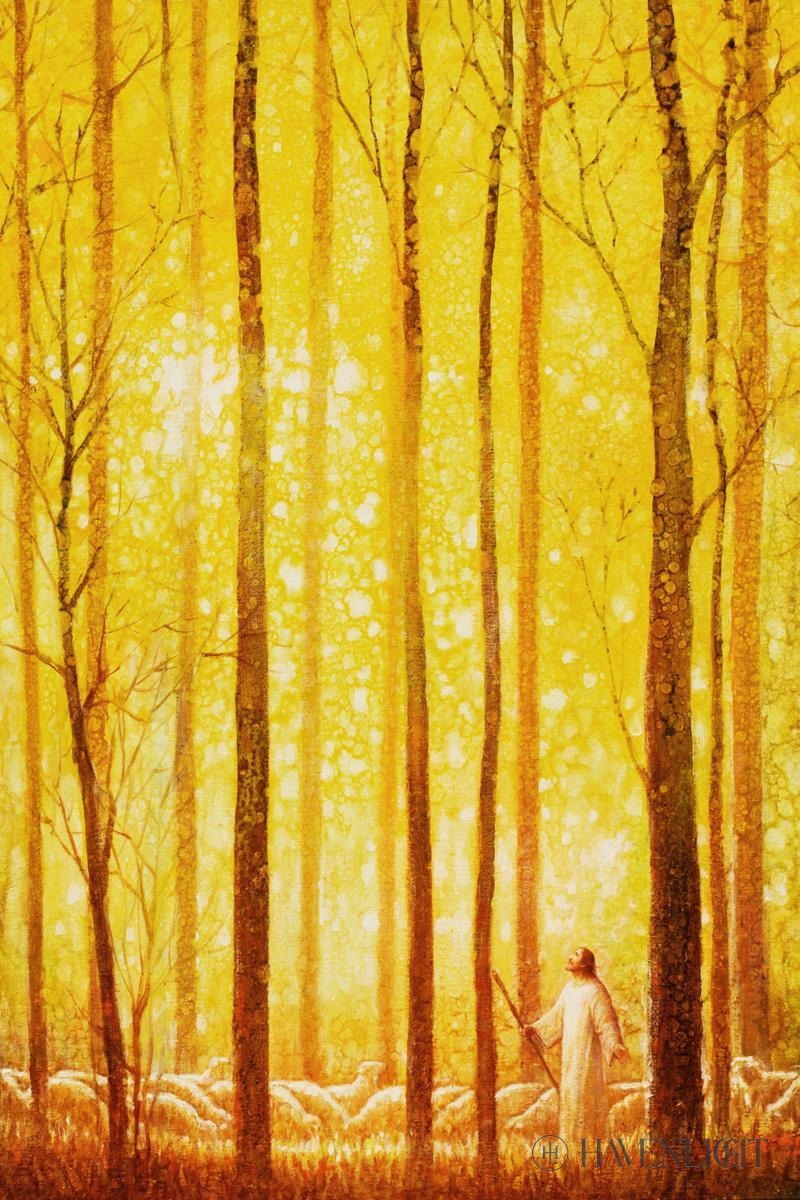 Awesome Wonder Open Edition Canvas / 12 X 18 Rolled In Tube Art
