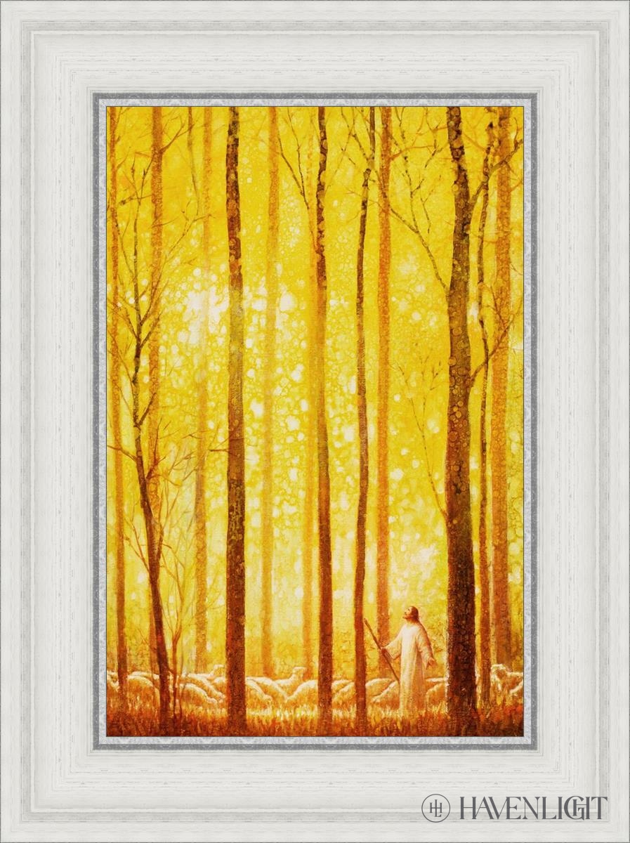 Awesome Wonder Open Edition Canvas / 12 X 18 White 17 3/4 23 Art