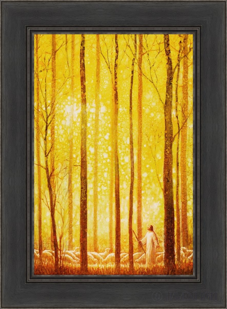 Awesome Wonder Open Edition Canvas / 16 X 24 Black 22 1/2 30 Art