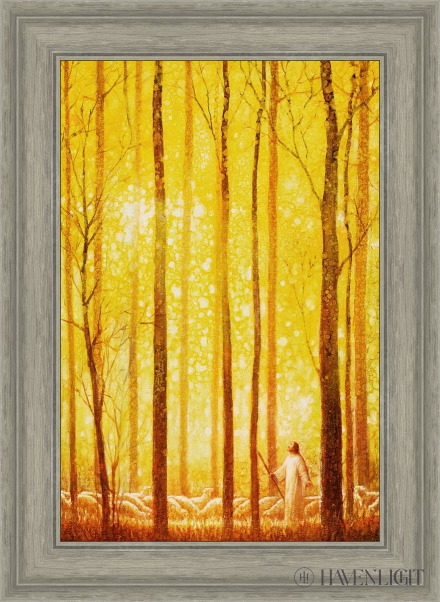 Awesome Wonder Open Edition Canvas / 16 X 24 Gray 21 3/4 29 Art