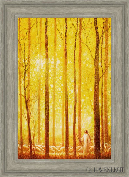 Awesome Wonder Open Edition Canvas / 16 X 24 Gray 21 3/4 29 Art