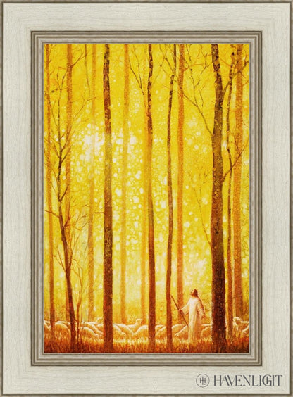 Awesome Wonder Open Edition Canvas / 16 X 24 Ivory 22 1/2 30 Art