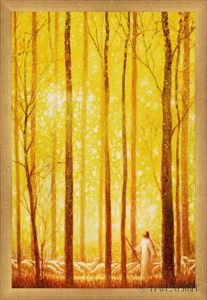 Awesome Wonder Open Edition Canvas / 16 X 24 Matte Gold 17 3/4 25 Art