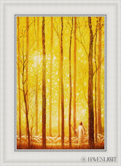Awesome Wonder Open Edition Canvas / 16 X 24 White 21 3/4 29 Art