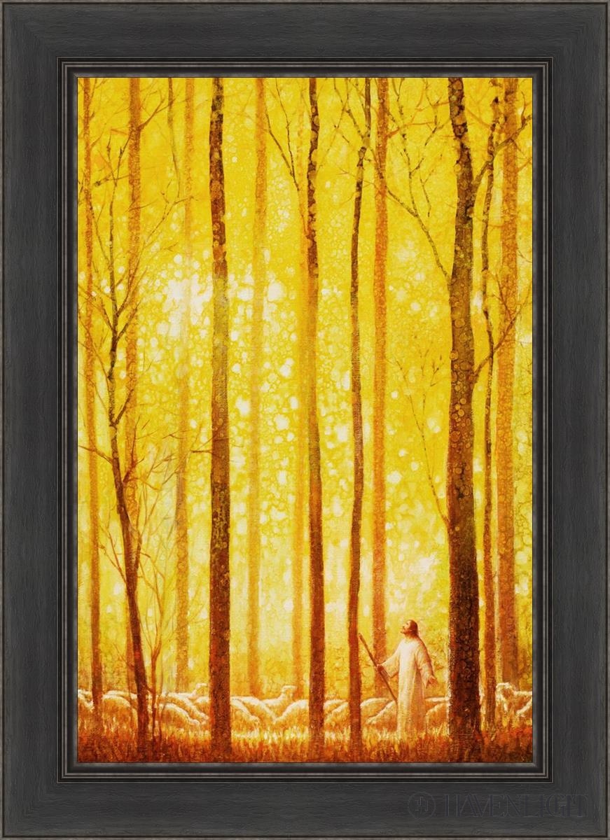 Awesome Wonder Open Edition Canvas / 20 X 30 Black 26 1/2 36 Art