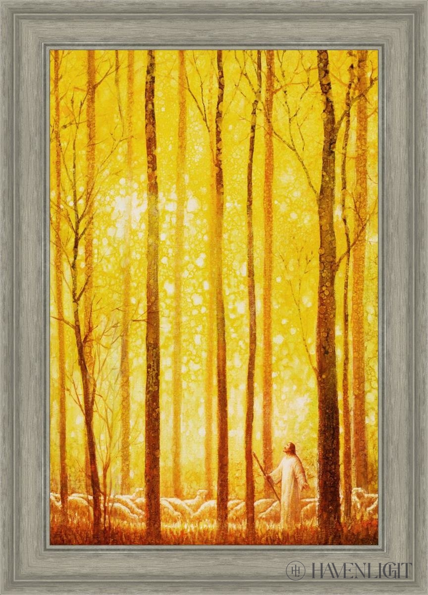 Awesome Wonder Open Edition Canvas / 20 X 30 Gray 25 3/4 35 Art