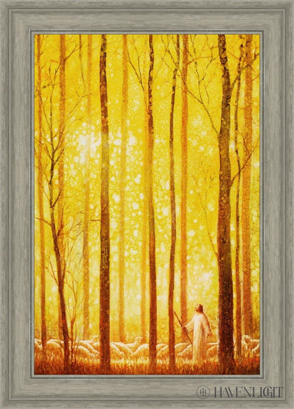 Awesome Wonder Open Edition Canvas / 20 X 30 Gray 25 3/4 35 Art