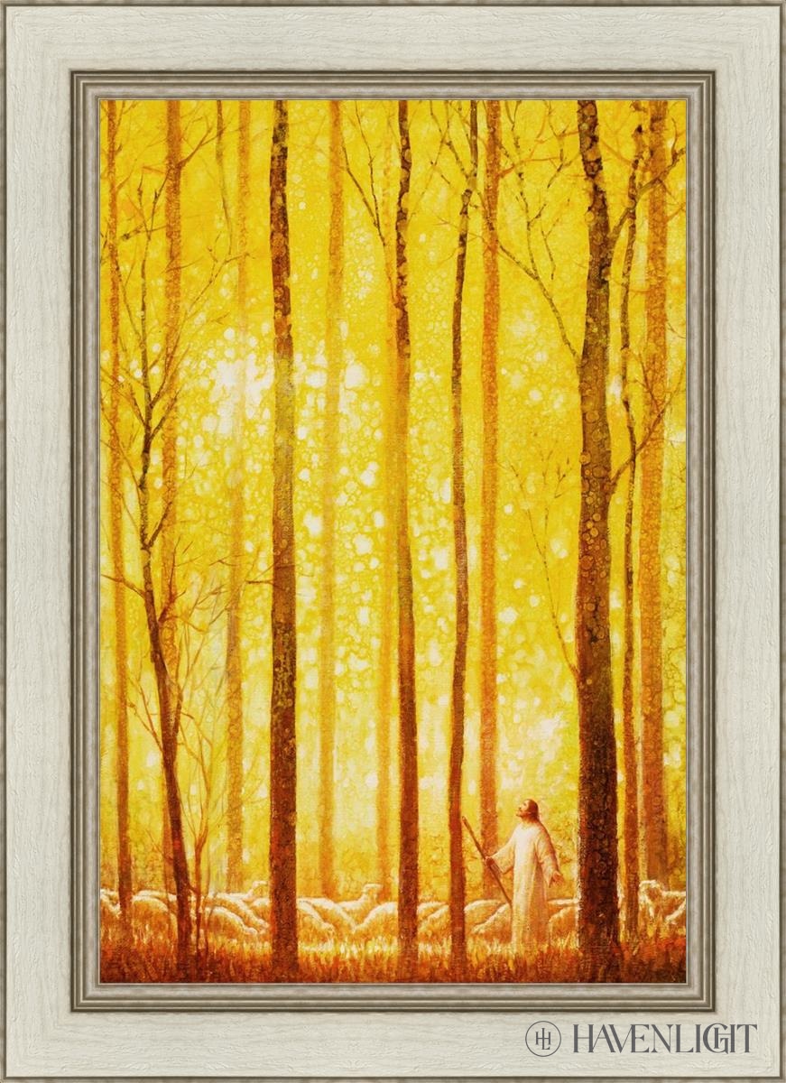 Awesome Wonder Open Edition Canvas / 20 X 30 Ivory 26 1/2 36 Art