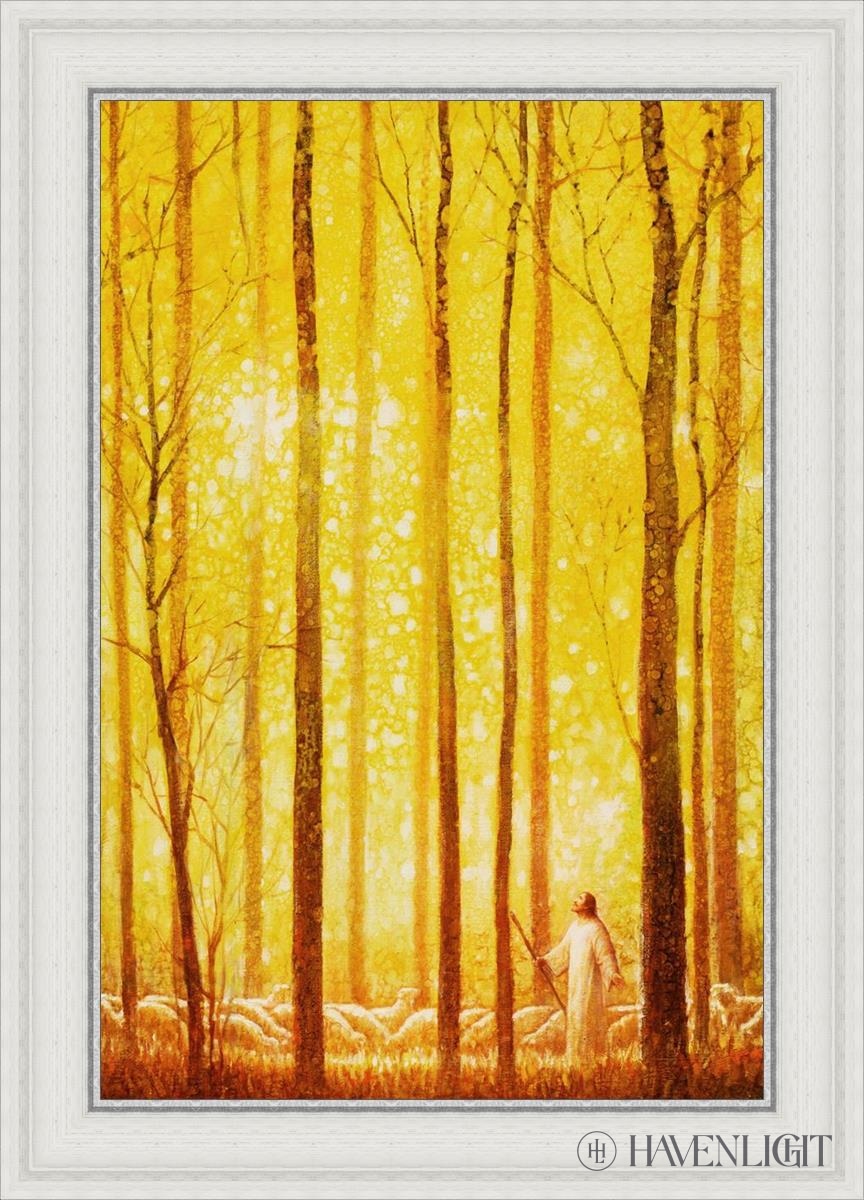 Awesome Wonder Open Edition Canvas / 20 X 30 White 25 3/4 35 Art
