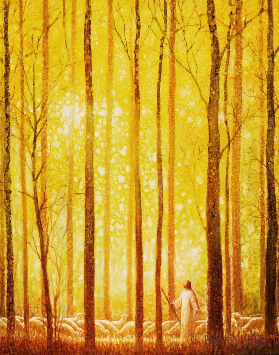 Awesome Wonder Open Edition Print / 11 X 14 Only Art
