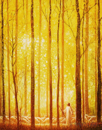 Awesome Wonder Open Edition Print / 11 X 14 Only Art