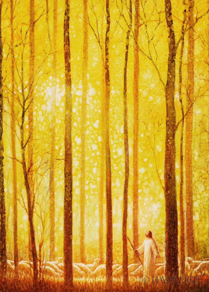 Awesome Wonder Open Edition Print / 5 X 7 Only Art