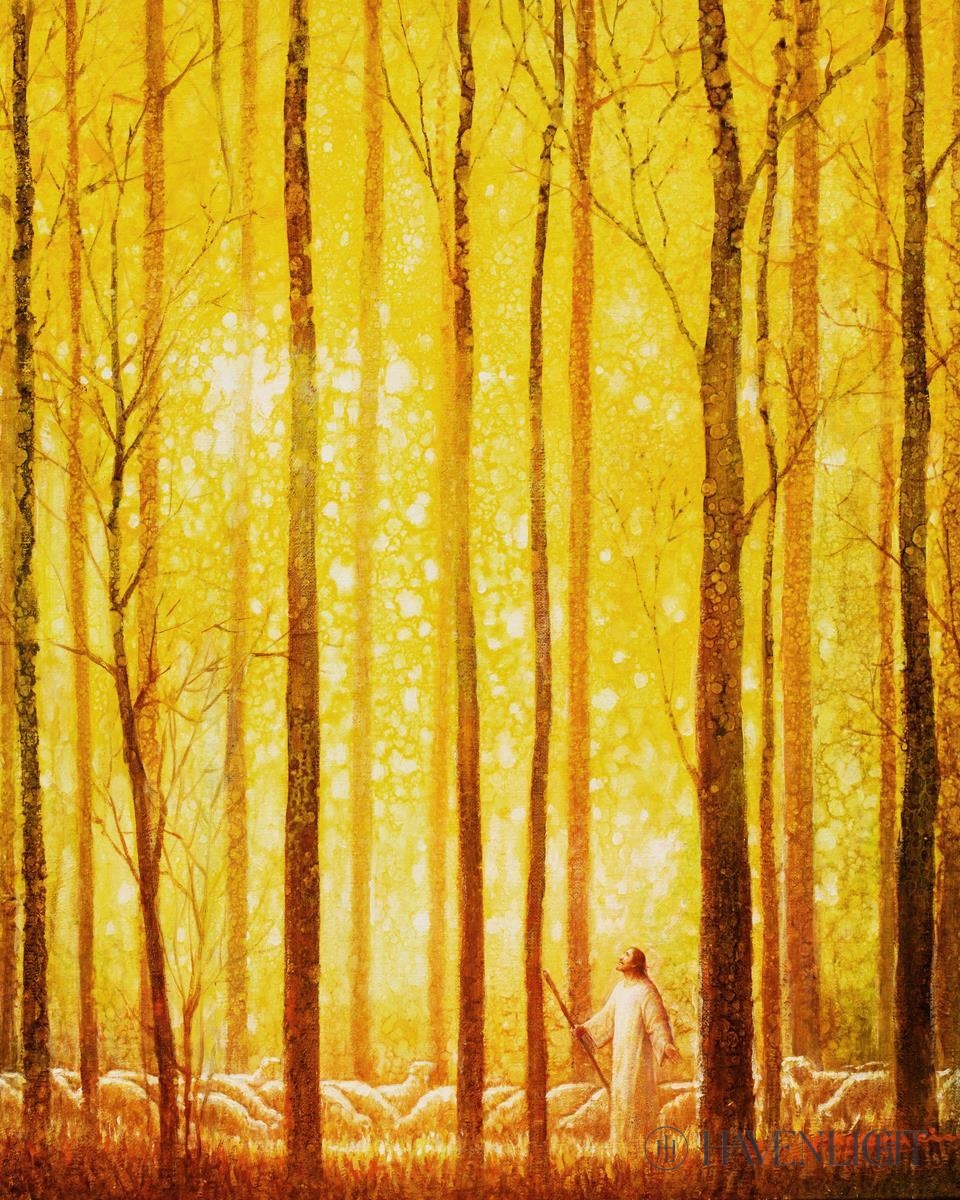 Awesome Wonder Open Edition Print / 8 X 10 Only Art
