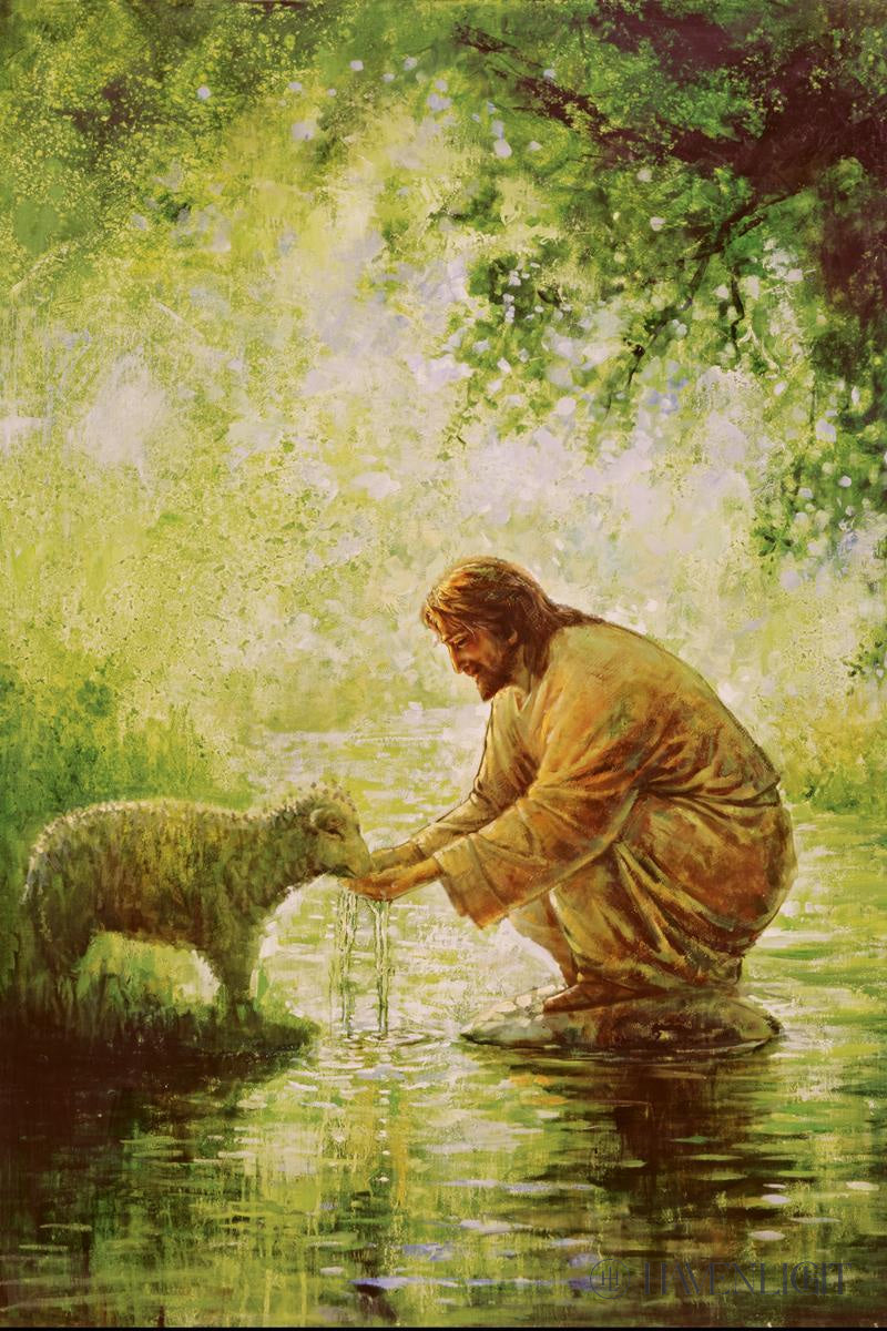 Gentle Shepherd Open Edition Canvas / 16 X 24 Rolled In Tube Art