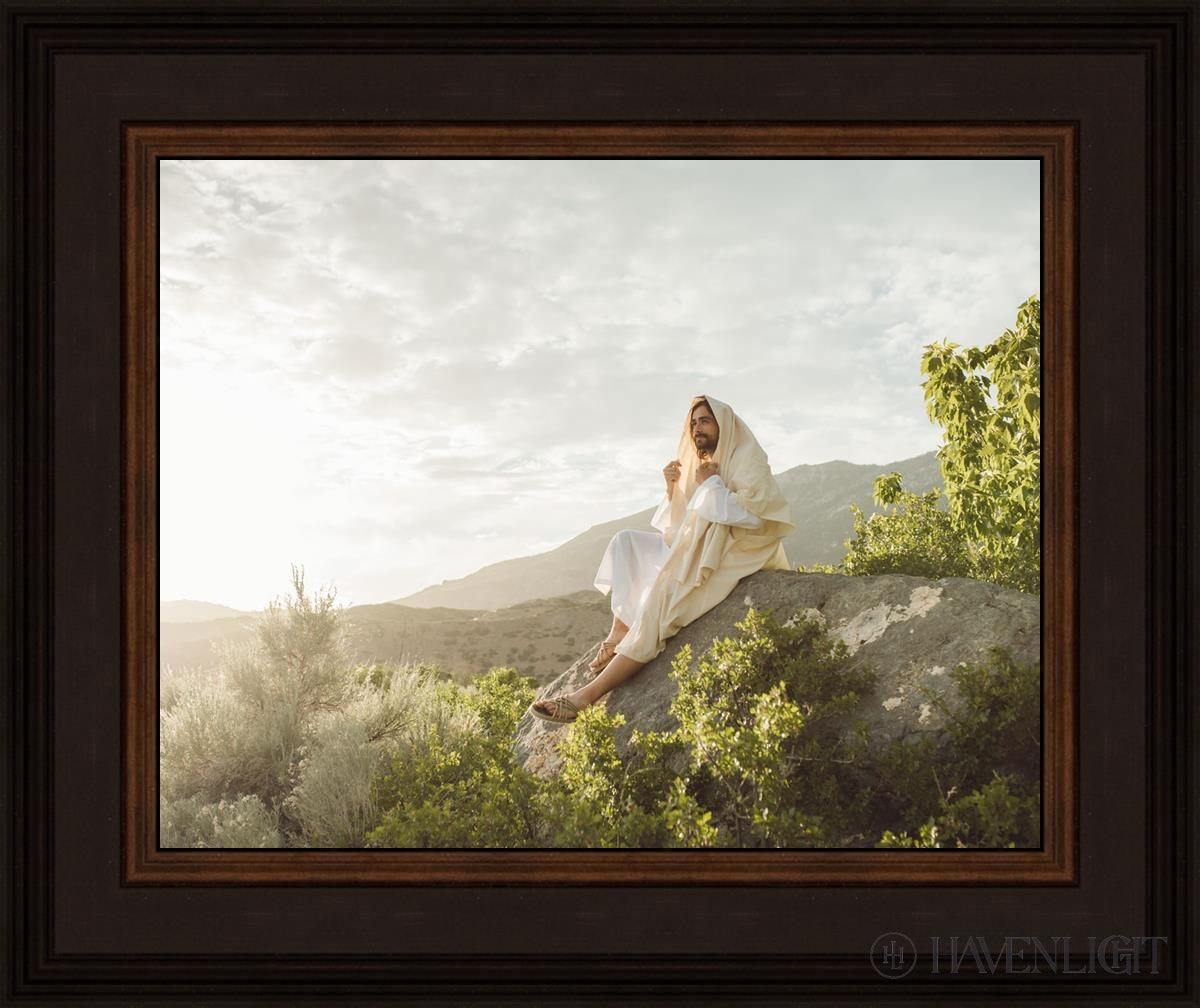 His Only Son Open Edition Print / 14 X 11 Brown 18 3/4 15 Art