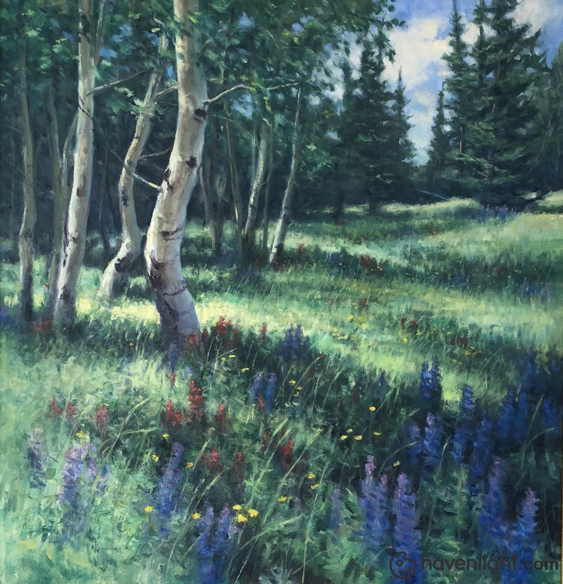 Mountain Pasture 36 X Original Painting
