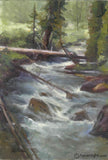 Mountain Stream 16 X 12 Original Painting