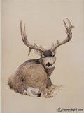 Mule Deer 2 Limited Edition Print / 6 X 8 Only Art