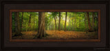 Oh How Lovely Was The Morning Open Edition Print / 18 X 6 Frame K 22.5 10.5 Oep