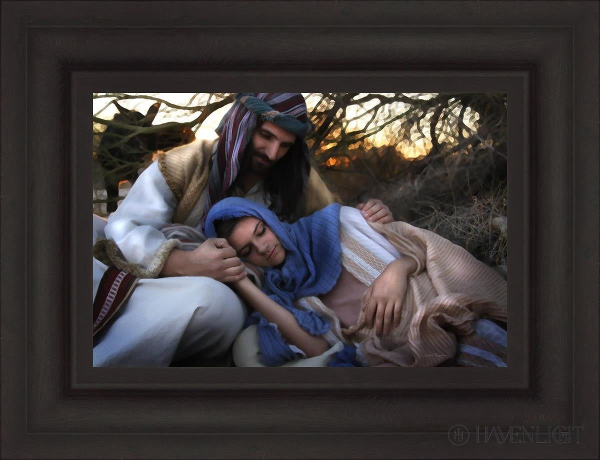 Protect Open Edition Canvas / 18 X 12 Brown 25 3/4 19 Art