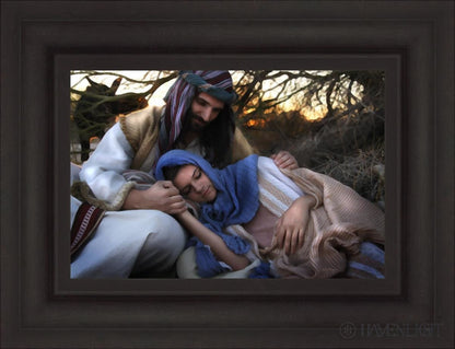 Protect Open Edition Canvas / 18 X 12 Brown 25 3/4 19 Art