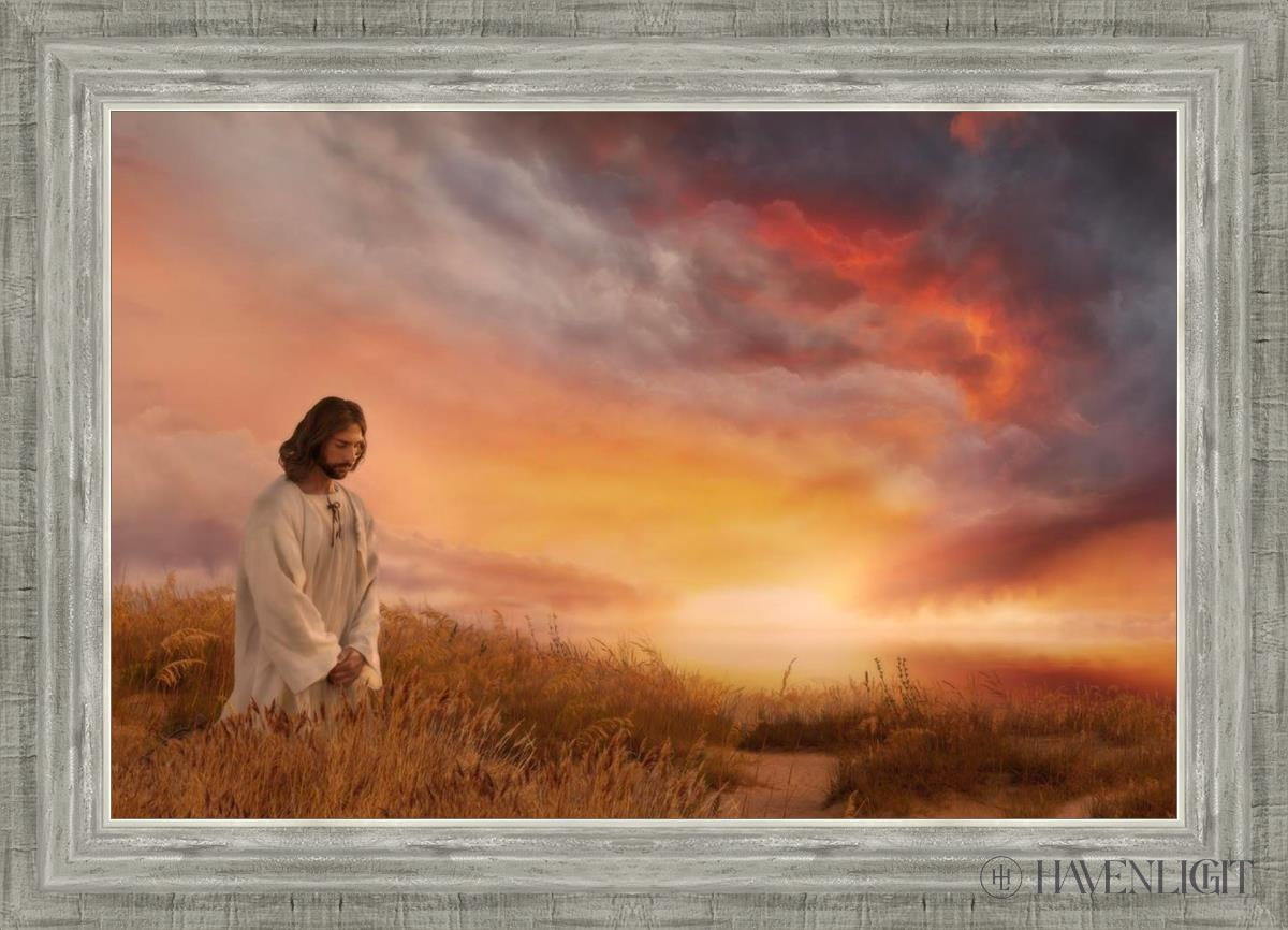 Stay With Me Open Edition Canvas / 24 X 16 Silver 28 3/4 20 Art